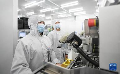 靠譜服務、技術推銷、標準開路——一家光通信企業的“出海秘籍”